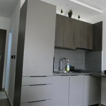 Andromeda Hill Lejlighed Kopaonik